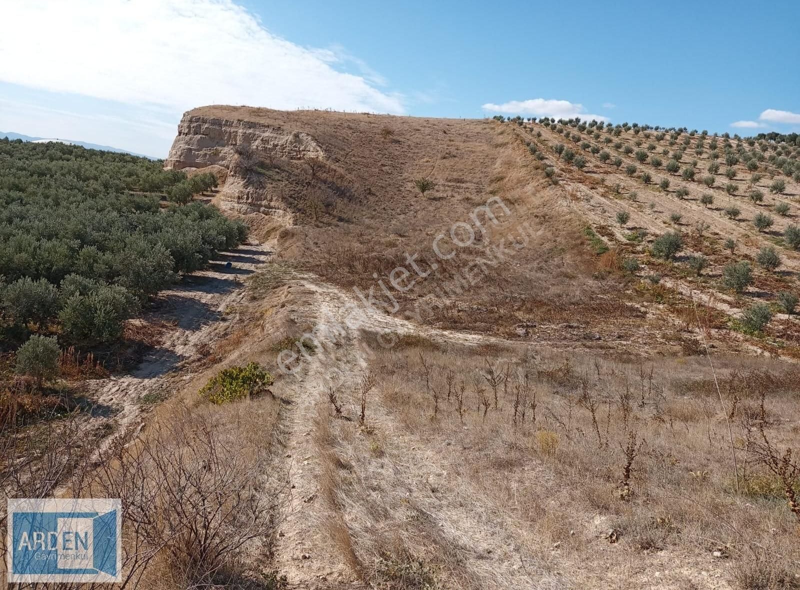 Arden Gyo'dan Manisa Salihli' De Ekspertiz Değerinin Yarı Fiyatı