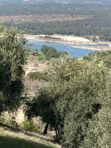 Karacasu Dereköy Yakını Baraj Manzaralı Zeytin Ve İncir Bahçesi - Görsel 11
