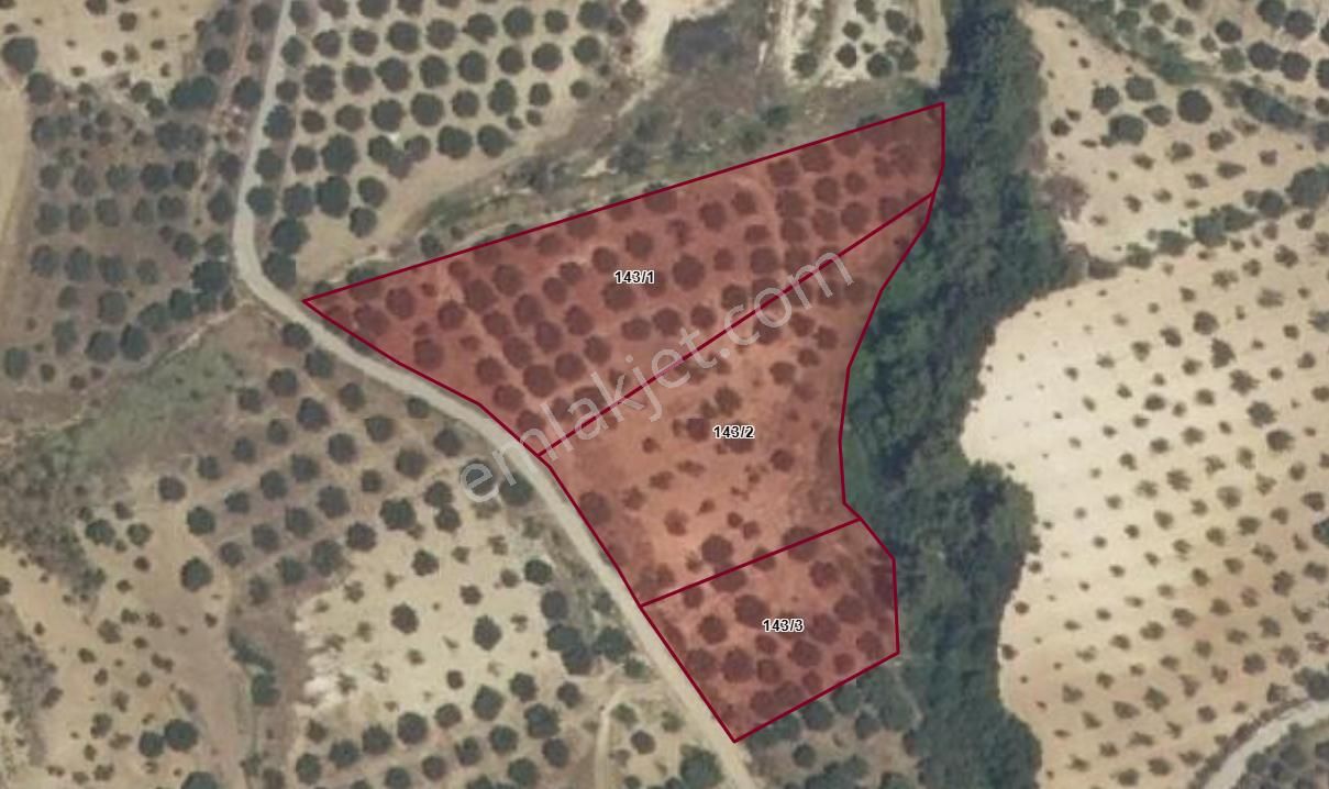 Karacasu Dereköy Yakını Baraj Manzaralı Zeytin Ve İncir Bahçesi - Görsel 14