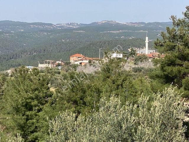 Karacasu Dereköy Yakını Baraj Manzaralı Zeytin Ve İncir Bahçesi - Görsel 7