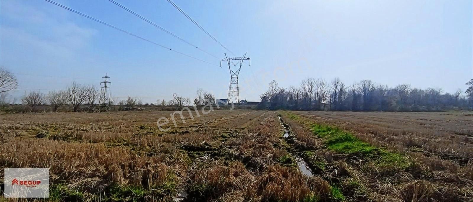 Yatırımcısına Kazandıracak Tarla Anayola Ve Merkeze Yakın(11)