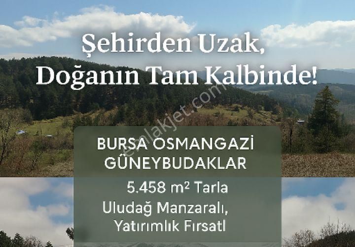 Fiyat Düştü Acil Satılık