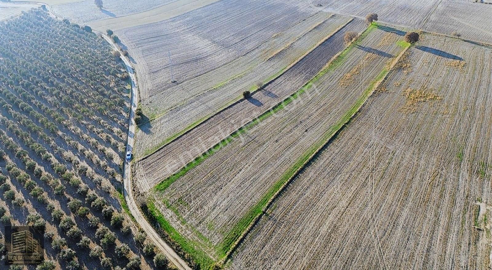Çanakkale Merkez Halileli Köyünde Yatırımlık 5507 M2 Tarla