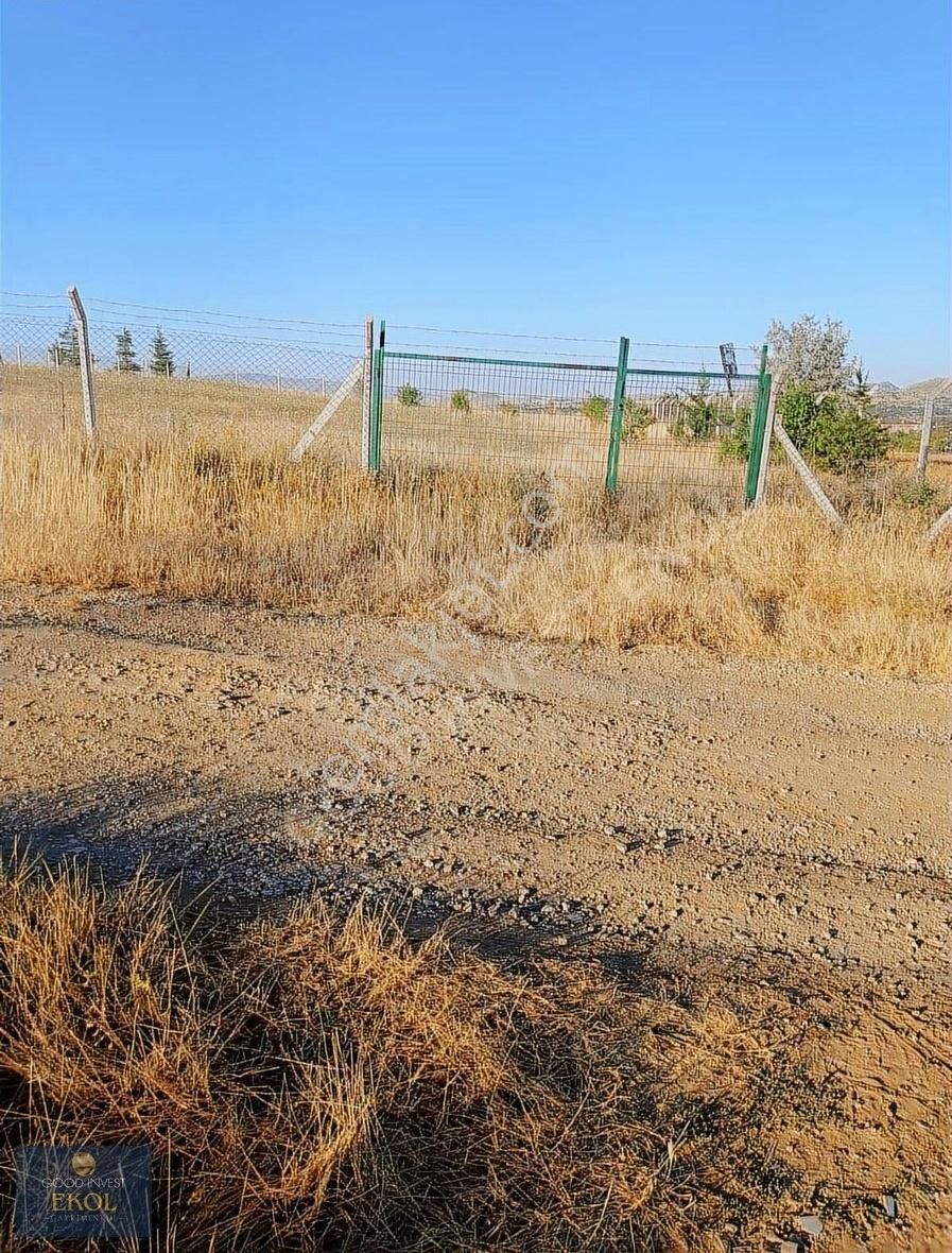 Altındağ Kavaklı Köyünde 1830 M2 Etrafı Çevrili Good Invest