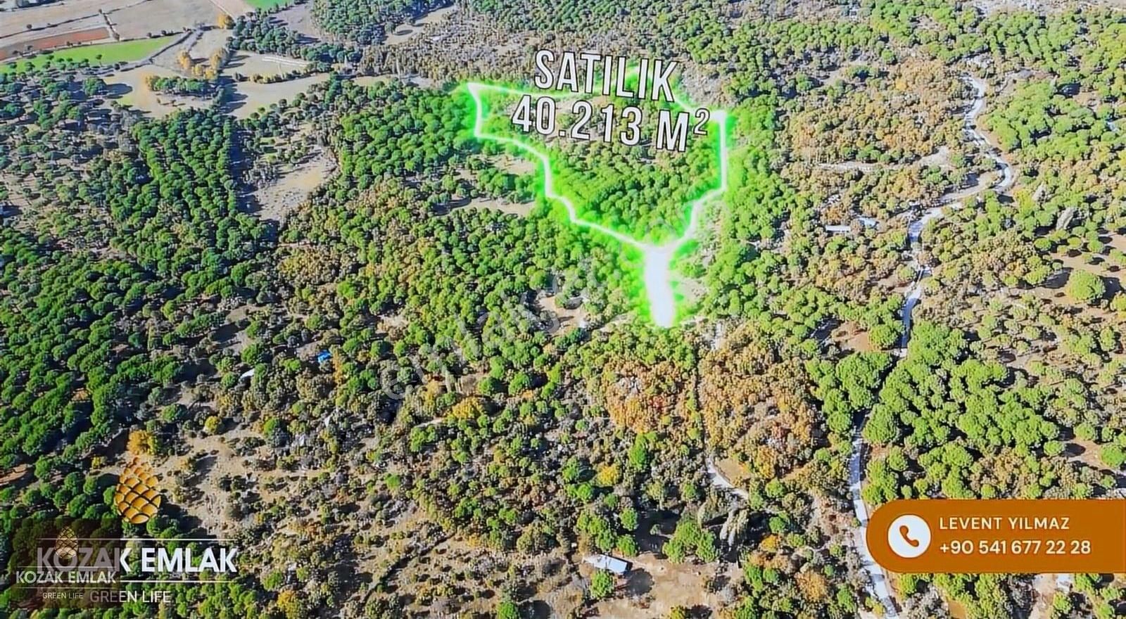 Bergama Kıranlı Tarım İmarlı 40 Dönüm Çiftlik Arazisi Satılık