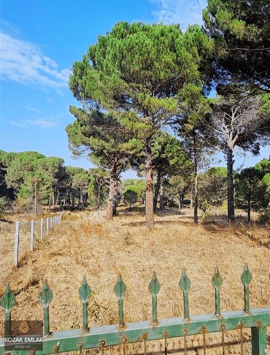 Kozak Emlak Bergama Hisar Köy Tarım İmarlı Tarla Satılık