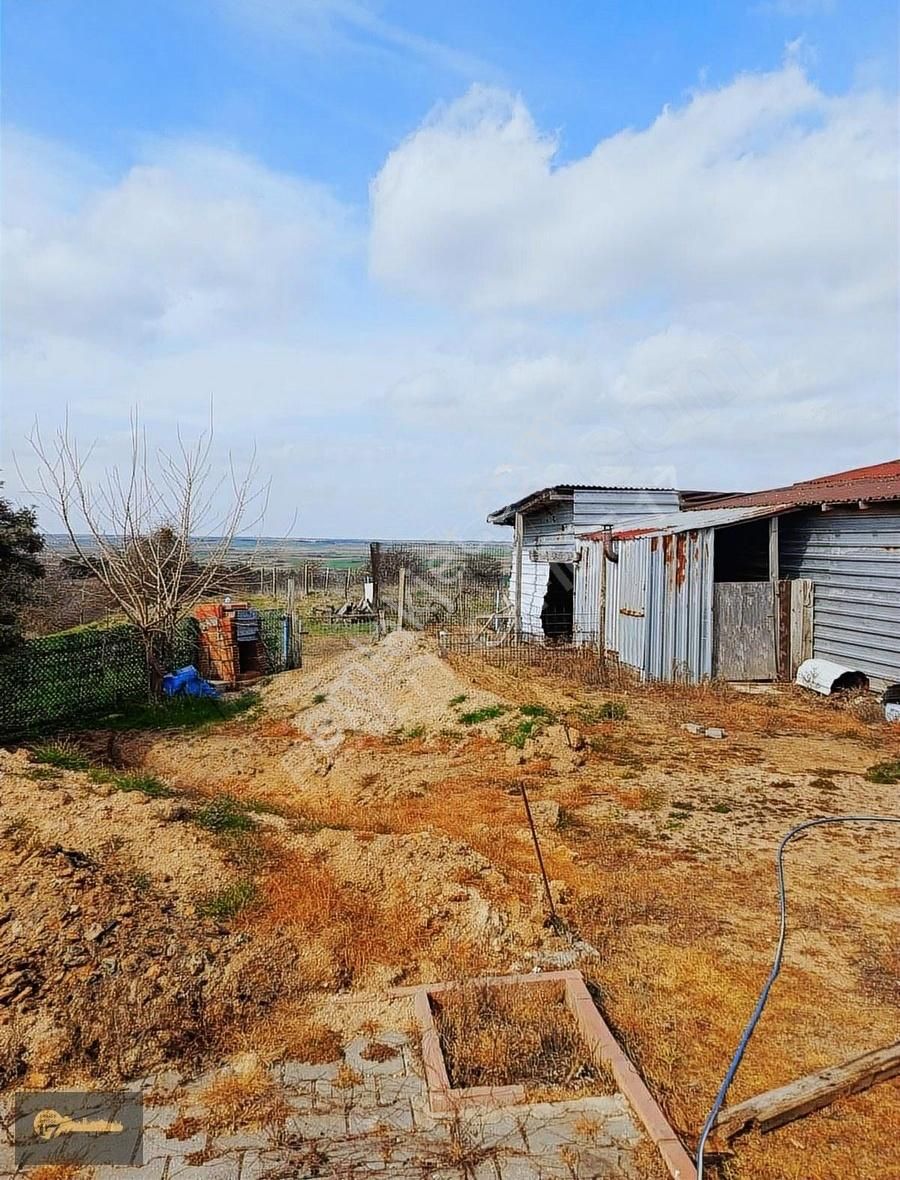 7000 M2 Üzerine Kurulu Hazır Çiftlik