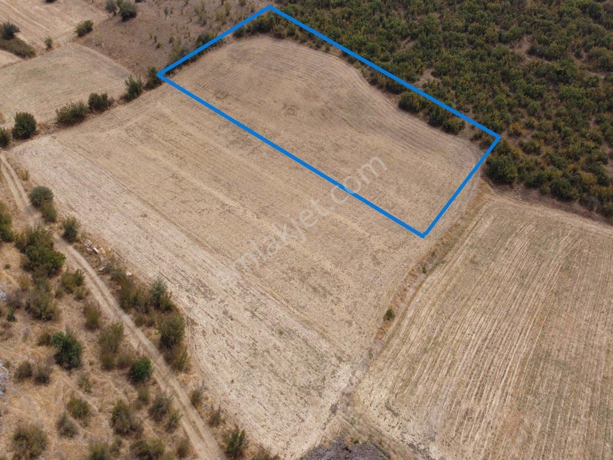 Re/max İnci'den Altıeylül Nergiz Mh.1500m2 Satılık Tarla