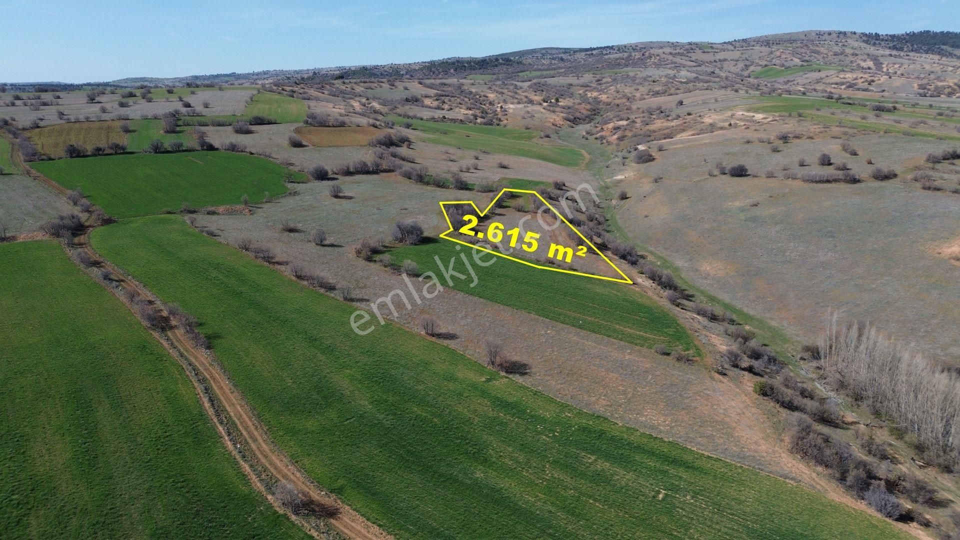 Konya / Ilgın / Belekler Mahallesinde 2.615 M² Müstakil Tapulu Tarla