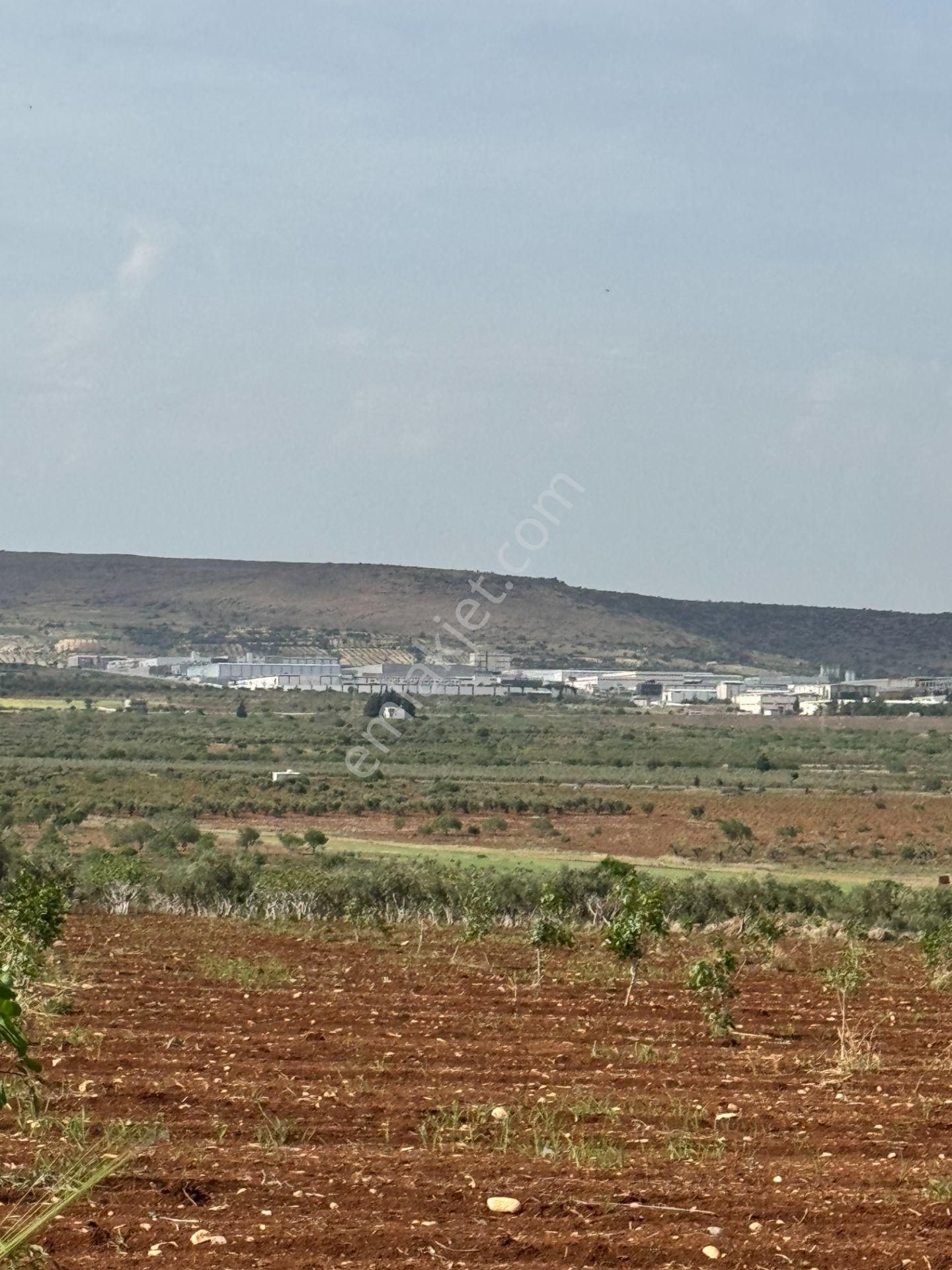 Babil Emlaktan Satlık Oylumda Yol Üzeri Bağ Yeri 5123 Metre - Görsel 19