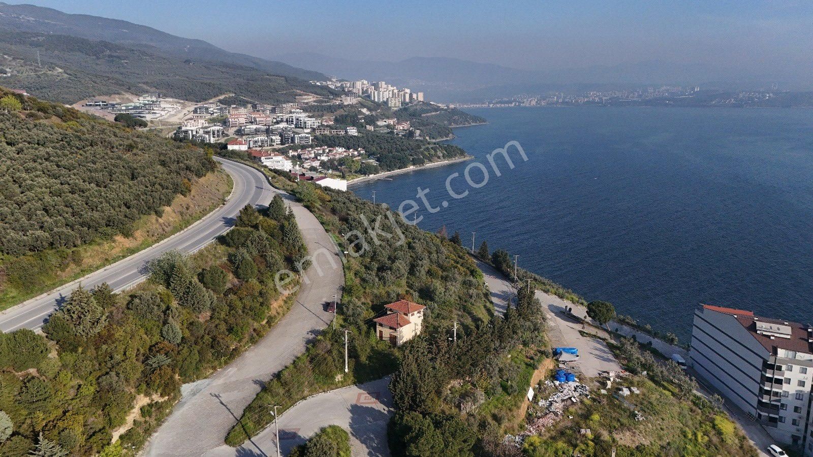 Denizin İçinde Bir Yaşam - Görsel 7