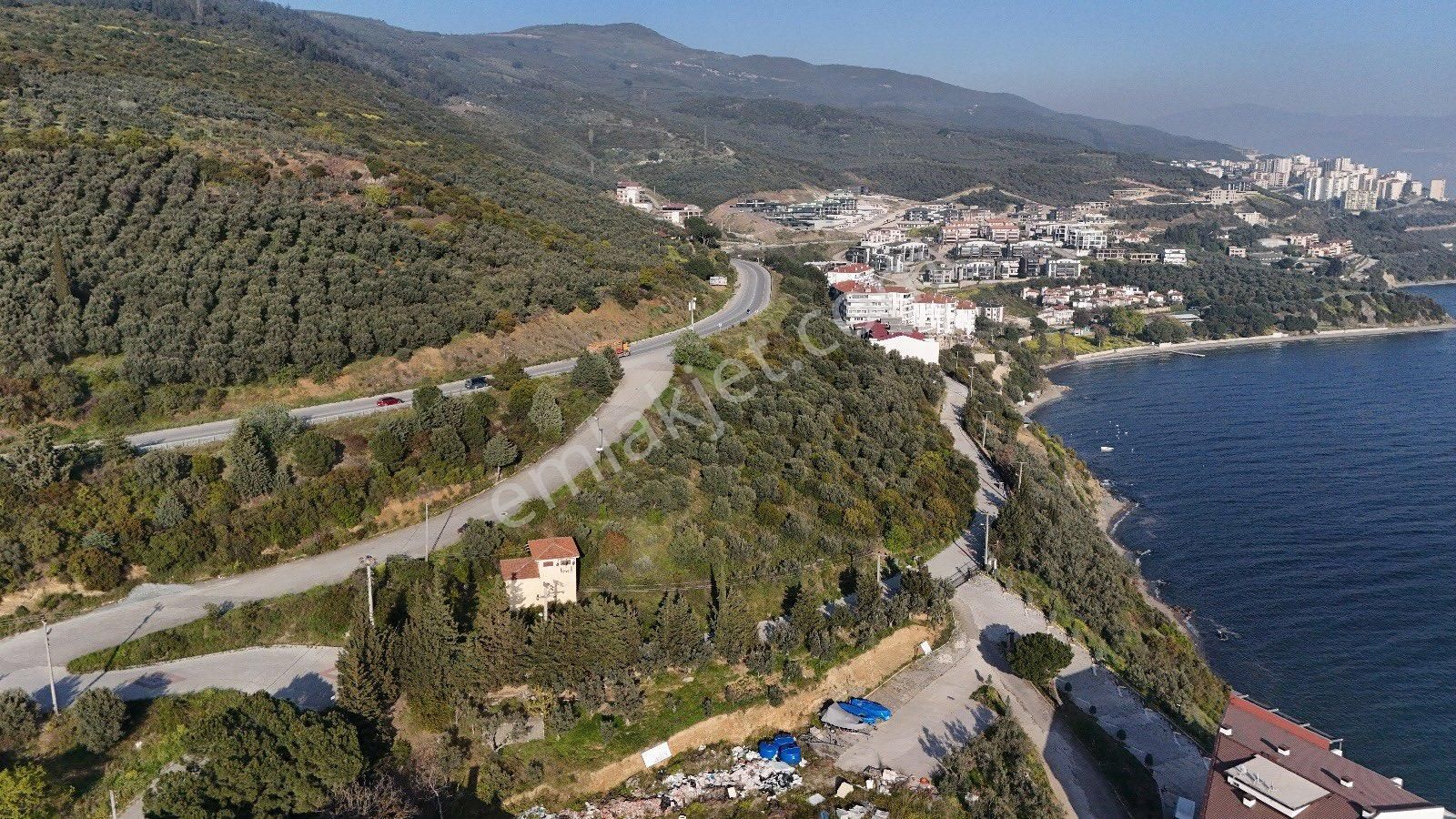 Denizin İçinde Bir Yaşam - Görsel 2