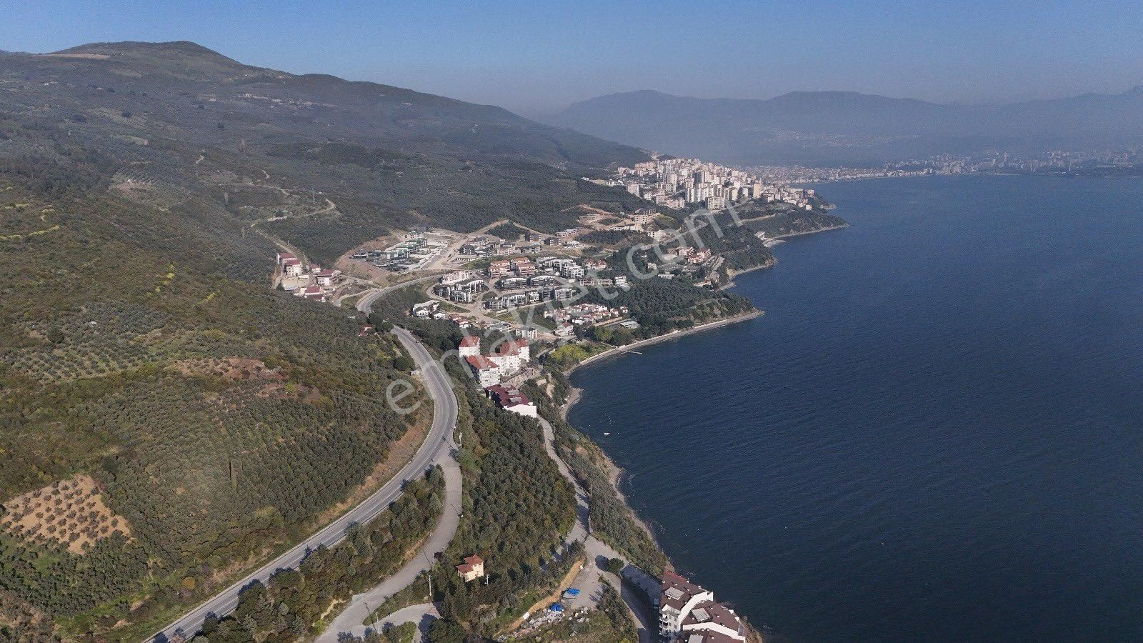 Denizin İçinde Bir Yaşam - Görsel 4