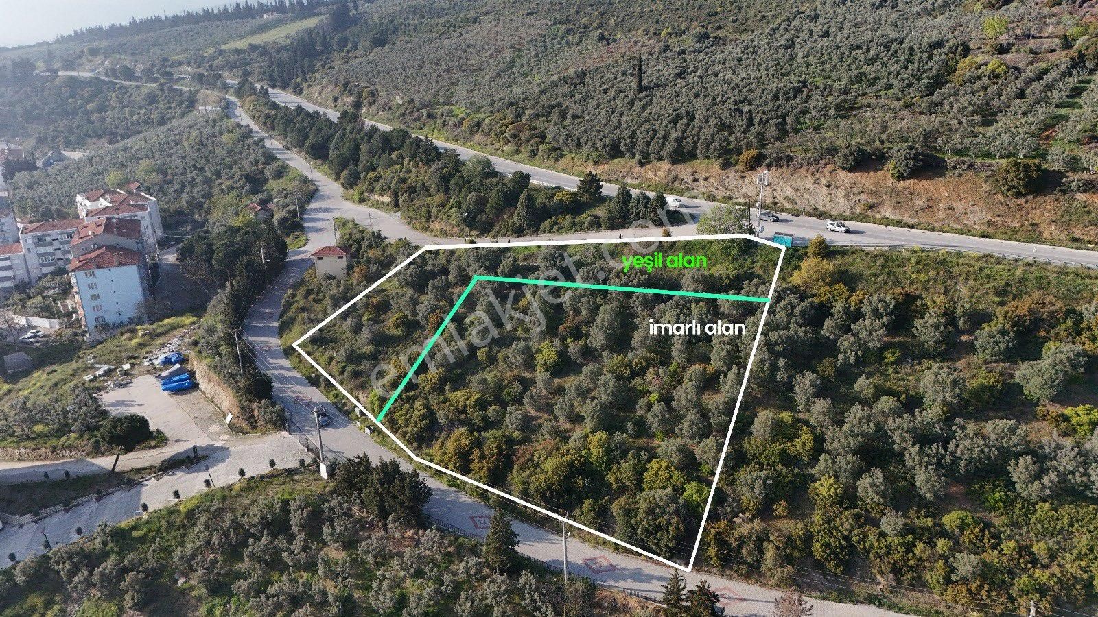 Denizin İçinde Bir Yaşam - Görsel 8