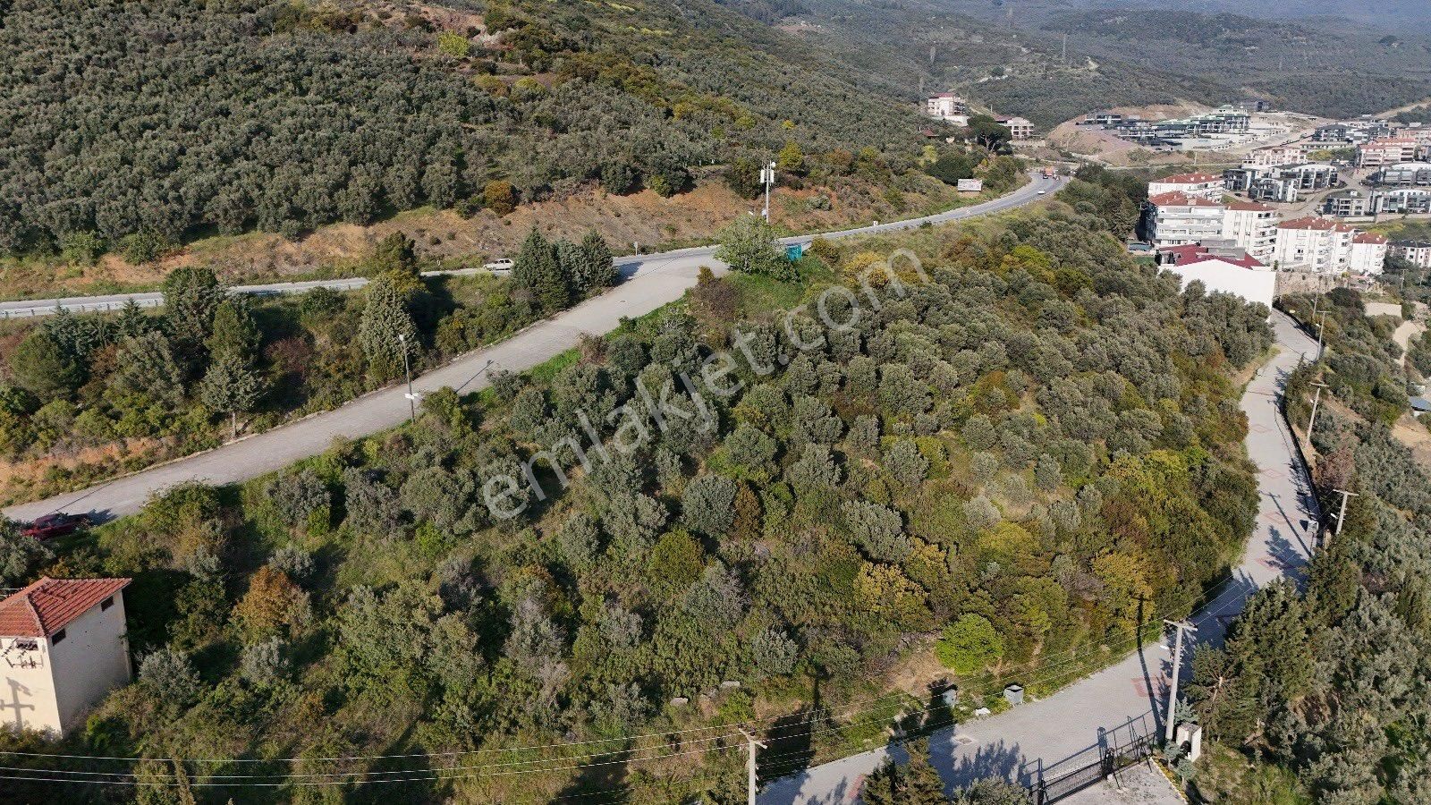 Denizin İçinde Bir Yaşam - Görsel 5