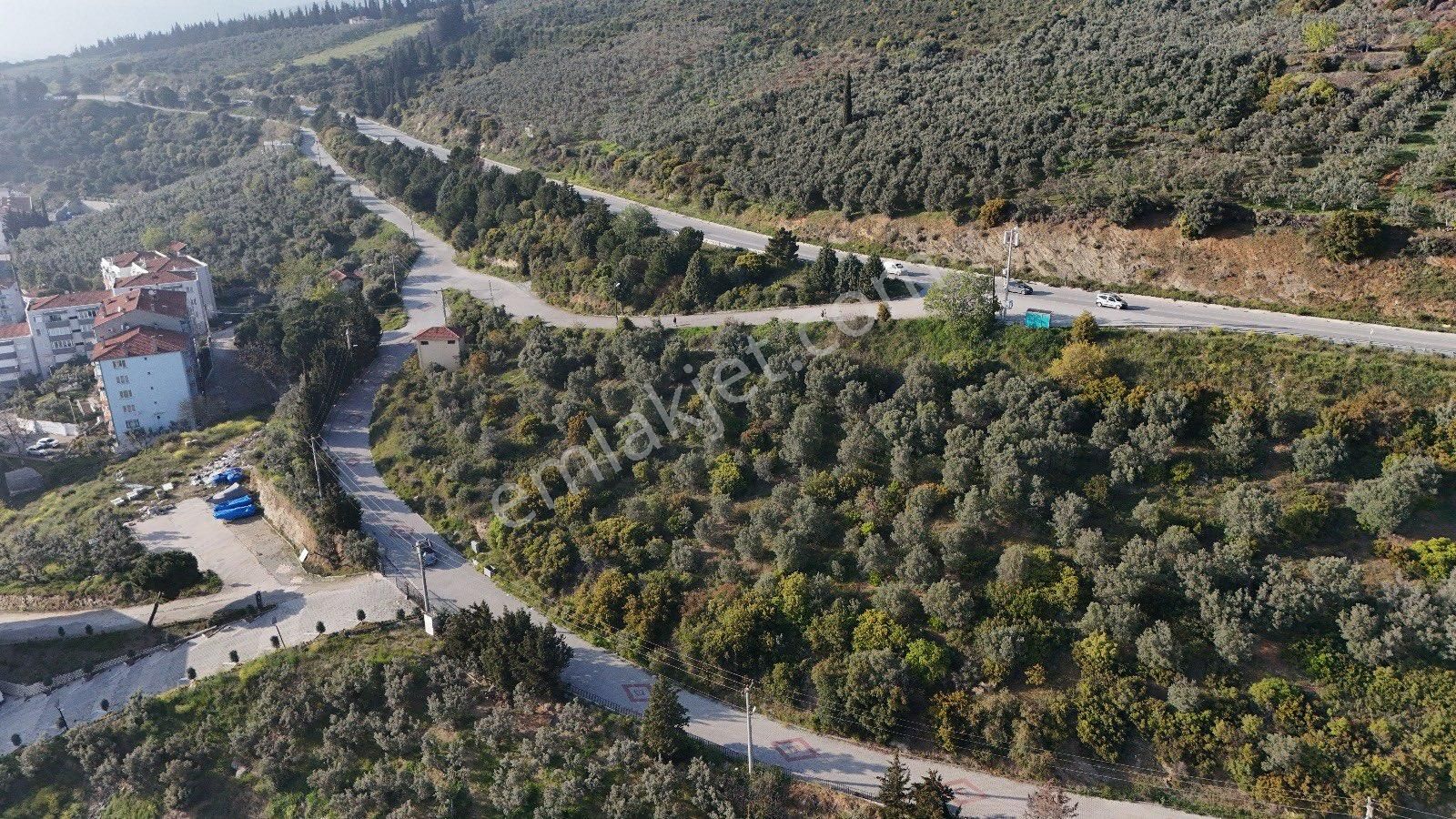 Denizin İçinde Bir Yaşam - Görsel 6