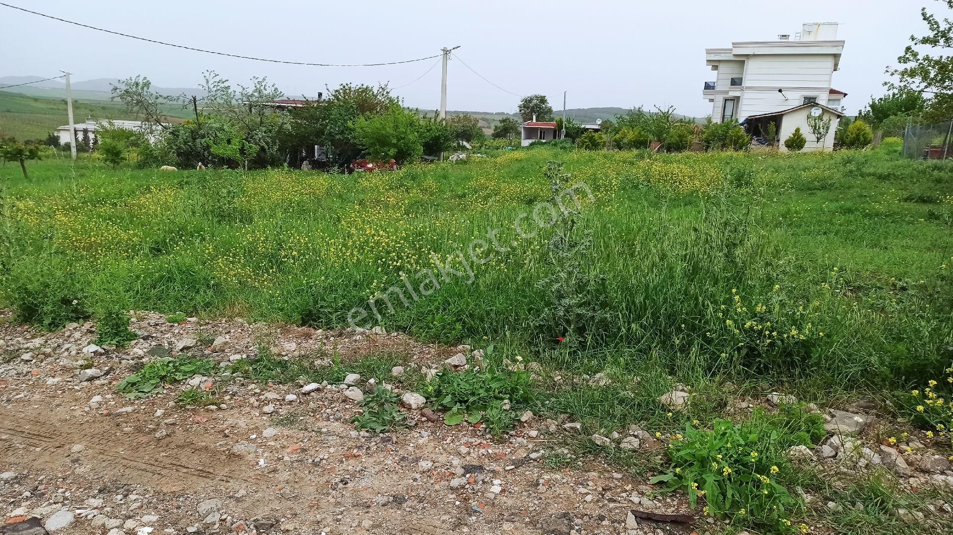 Tekirdağ Şarköy İstiklal Mah İmarlı Arsa - Görsel 5