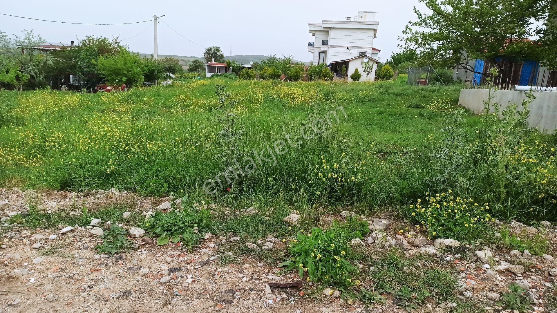 Tekirdağ Şarköy İstiklal Mah İmarlı Arsa - Görsel 6