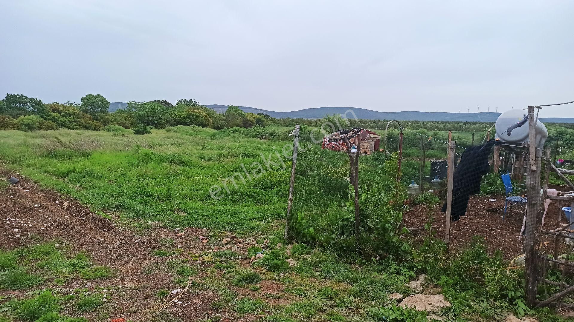 Tekirdağ Şarköy İstiklal Mah İmarlı Arsa - Görsel 15