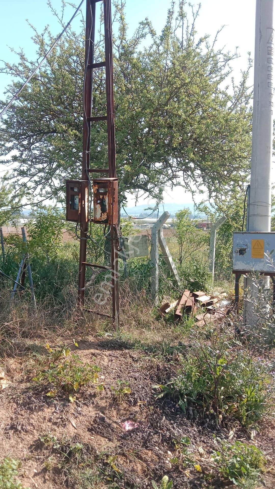 İzmir Menderes Develi De 1720m2 Satılık Bahçe - Görsel 17