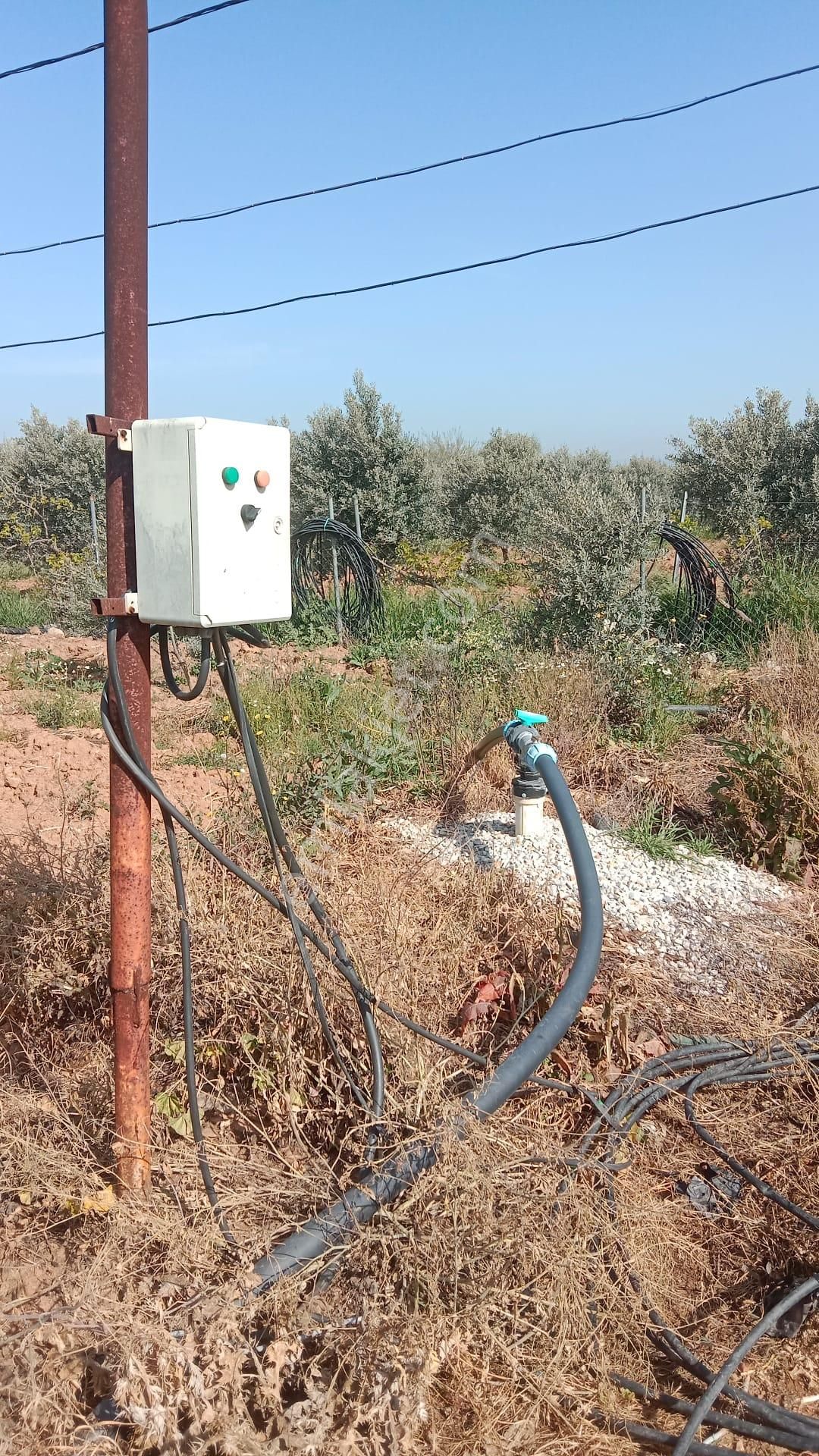 İzmir Menderes Develi De 1720m2 Satılık Bahçe - Görsel 10