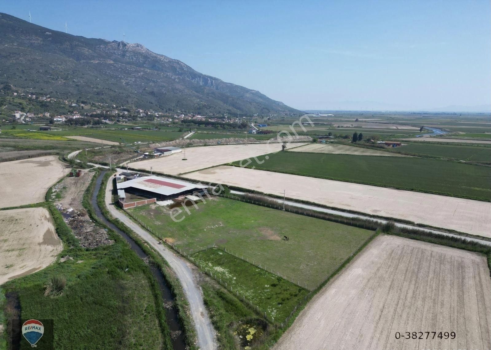 Söke Güllübahçe'de Yatırıma Uygun Tam Donanımlı Ruhsatlı Büyükbaş Hayvan Üretım Çıftlığı - Görsel 12