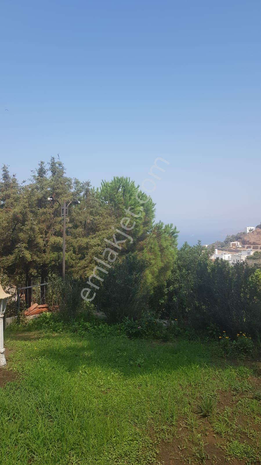 Gümüşlük Te Köşe Süper Deniz Manzaralı Ultra Lüks Villa - Görsel 34