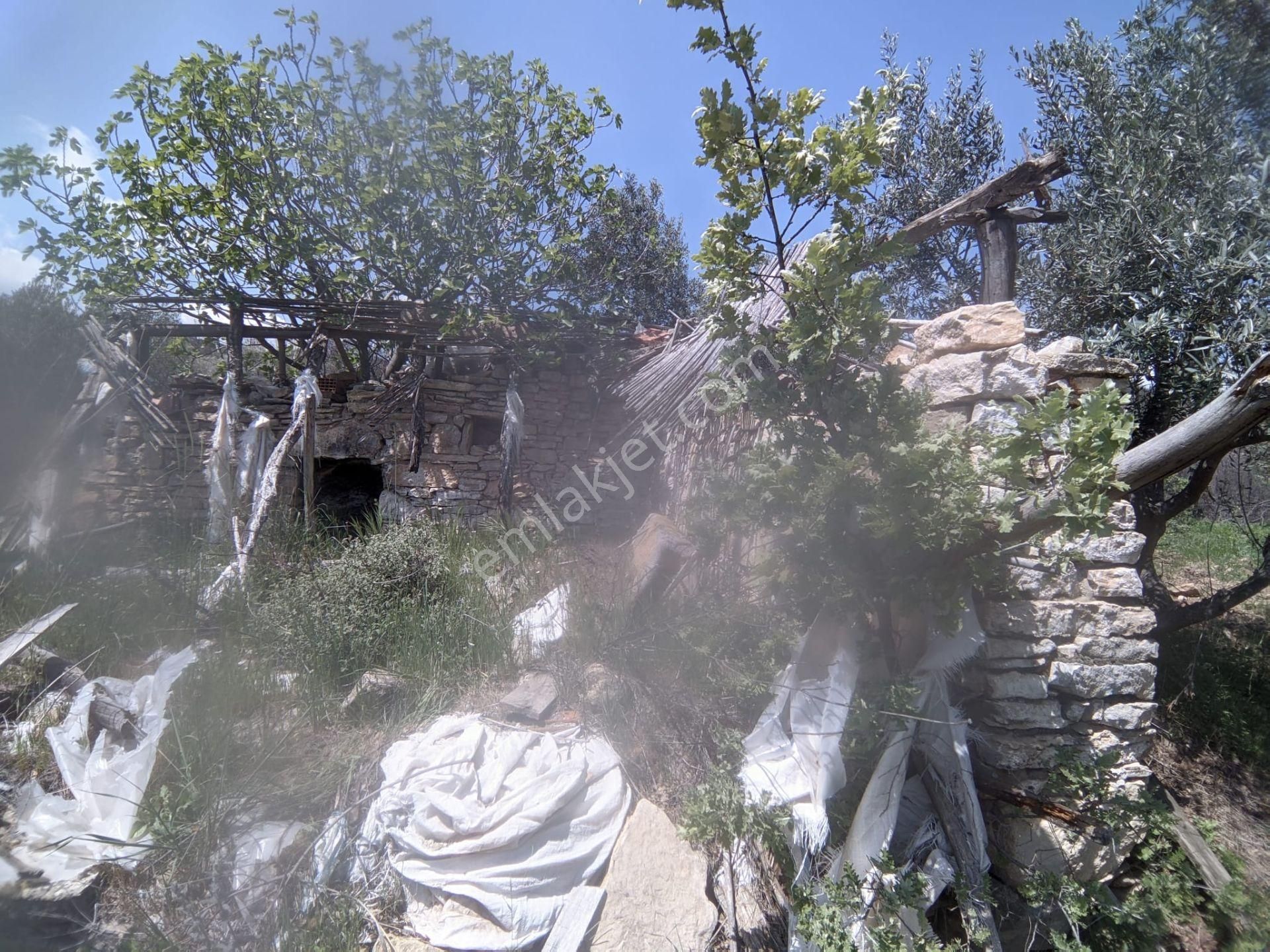 Bergama Yukarı Ilgındere Mahallesinde Satılık Zeytinlik - Görsel 10