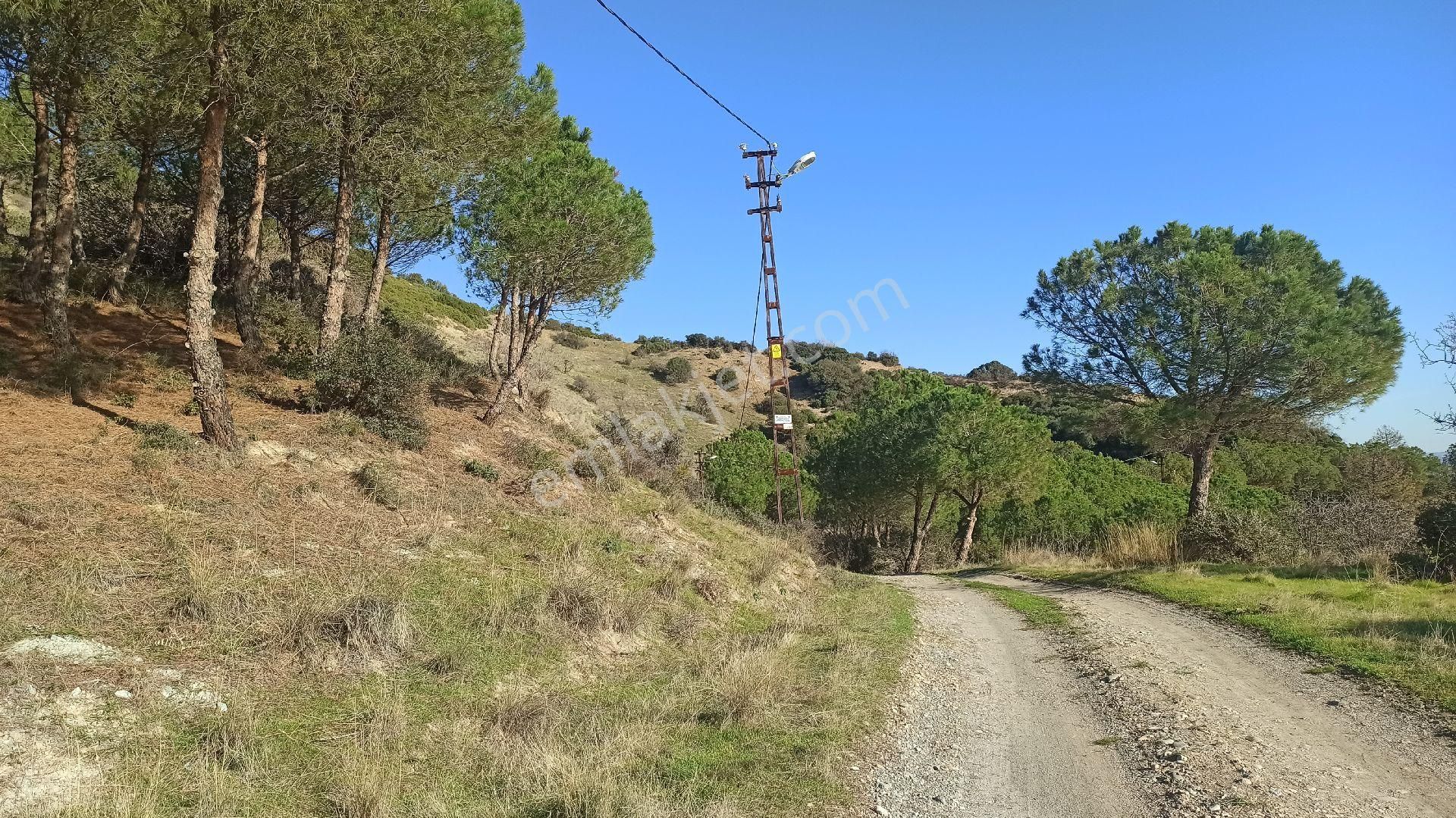 Tekirdağ Şarköy Kızılcaterzide Kontur Sitesinde - Görsel 3