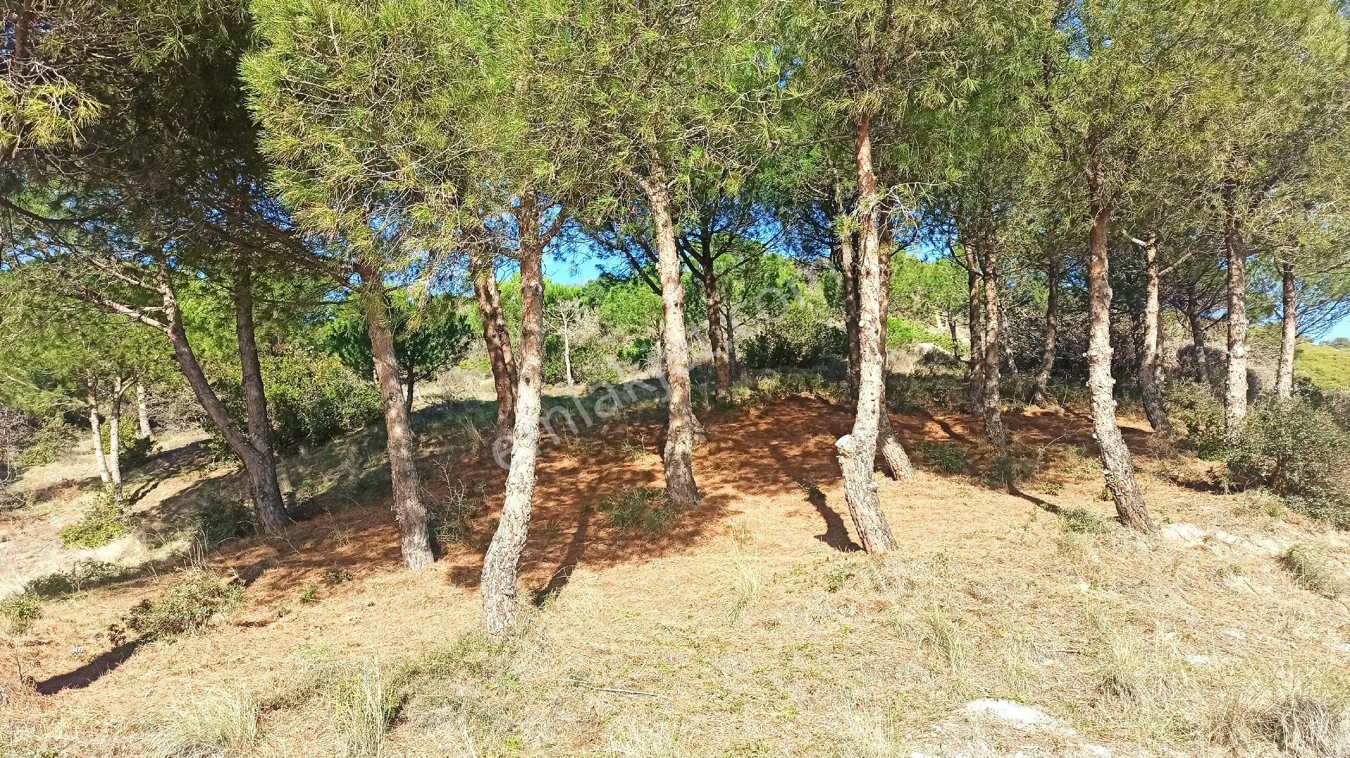 Tekirdağ Şarköy Kızılcaterzide Kontur Sitesinde - Görsel 2