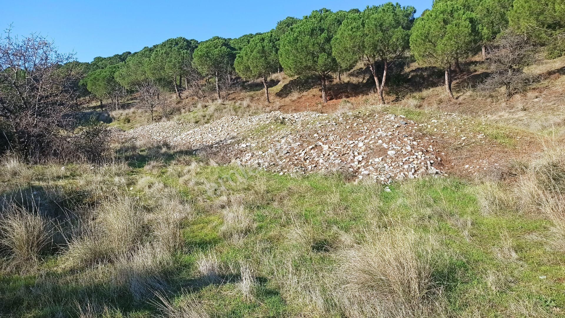 Tekirdağ Şarköy Kızılcaterzide Kontur Sitesinde - Görsel 9