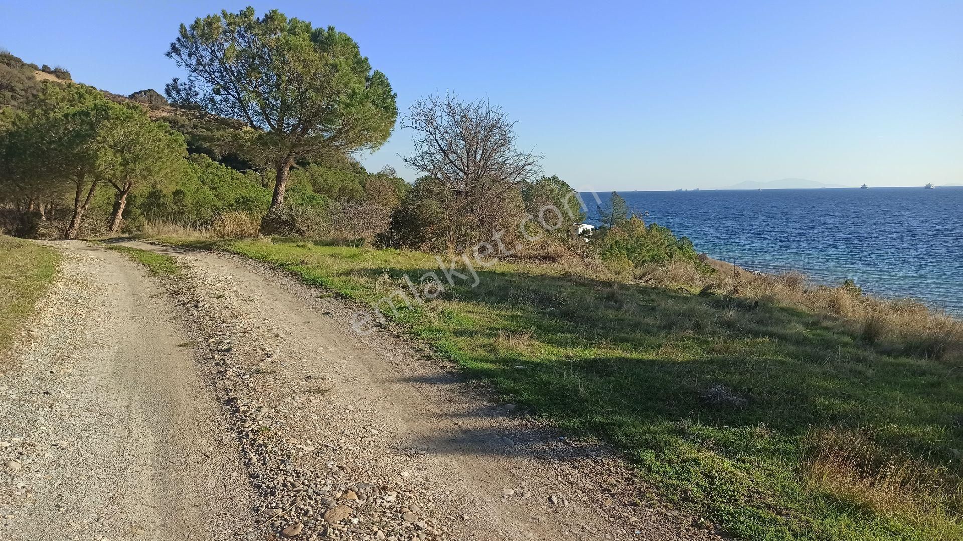 Tekirdağ Şarköy Kızılcaterzide Kontur Sitesinde - Görsel 6