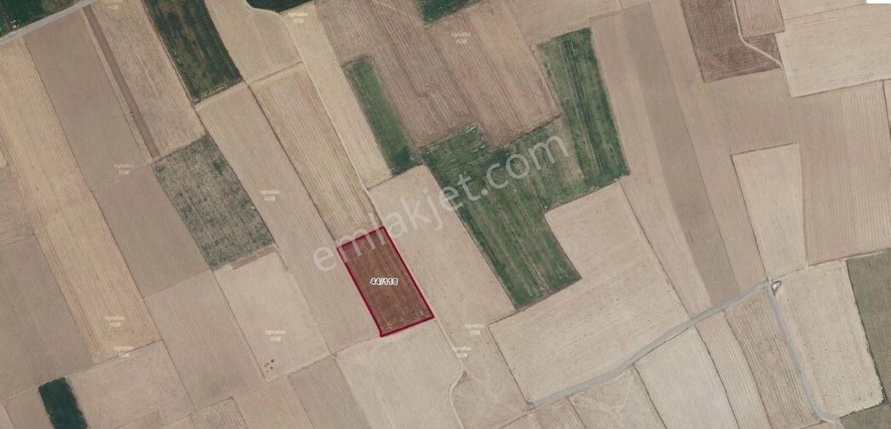 Yaman'dan Bolvadin Şıhlar Mahallesin'de Satılık Tarla - Görsel 4