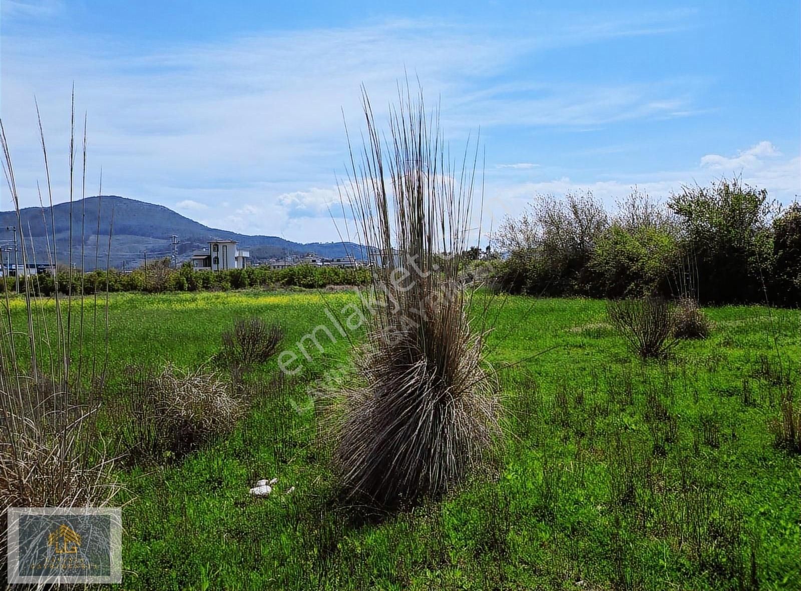 Muğla Dalaman Kargınkürü Satılık İmarlı 566 M² Arsa - Görsel 10