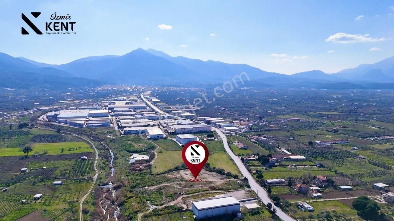 Kemalpaşa Armutlu Satılık 10005 M2 Arazi Sanayi Yoluna Cepheli
