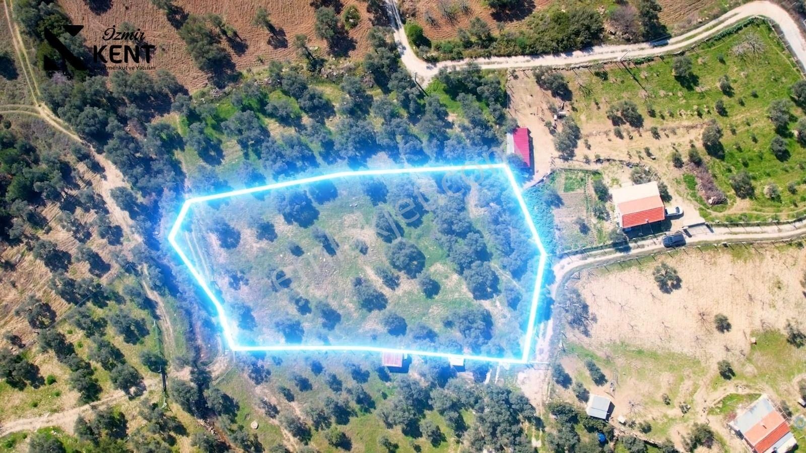 Kemalpaşa Gökyaka Satılık Bahçe 2700 M2