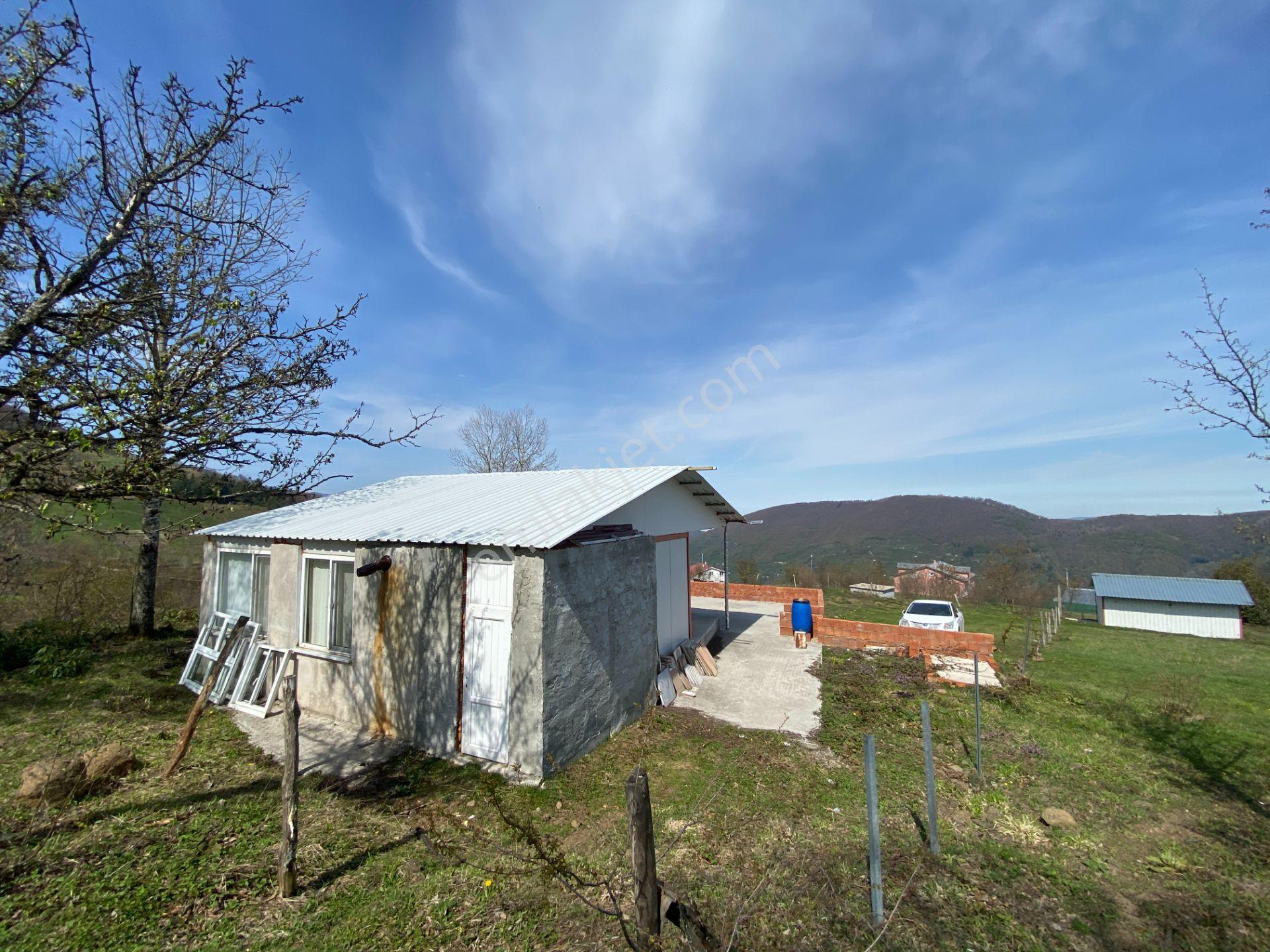 Hendek Dikmen Yaylasında 1.155 M2 Arsa İçinde Müstakil Ev - Görsel 30