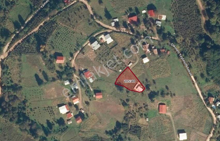 Hendek Dikmen Yaylasında 1.155 M2 Arsa İçinde Müstakil Ev - Görsel 9