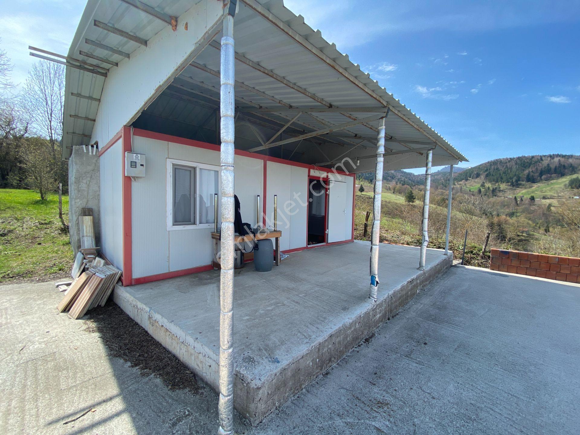 Hendek Dikmen Yaylasında 1.155 M2 Arsa İçinde Müstakil Ev - Görsel 18