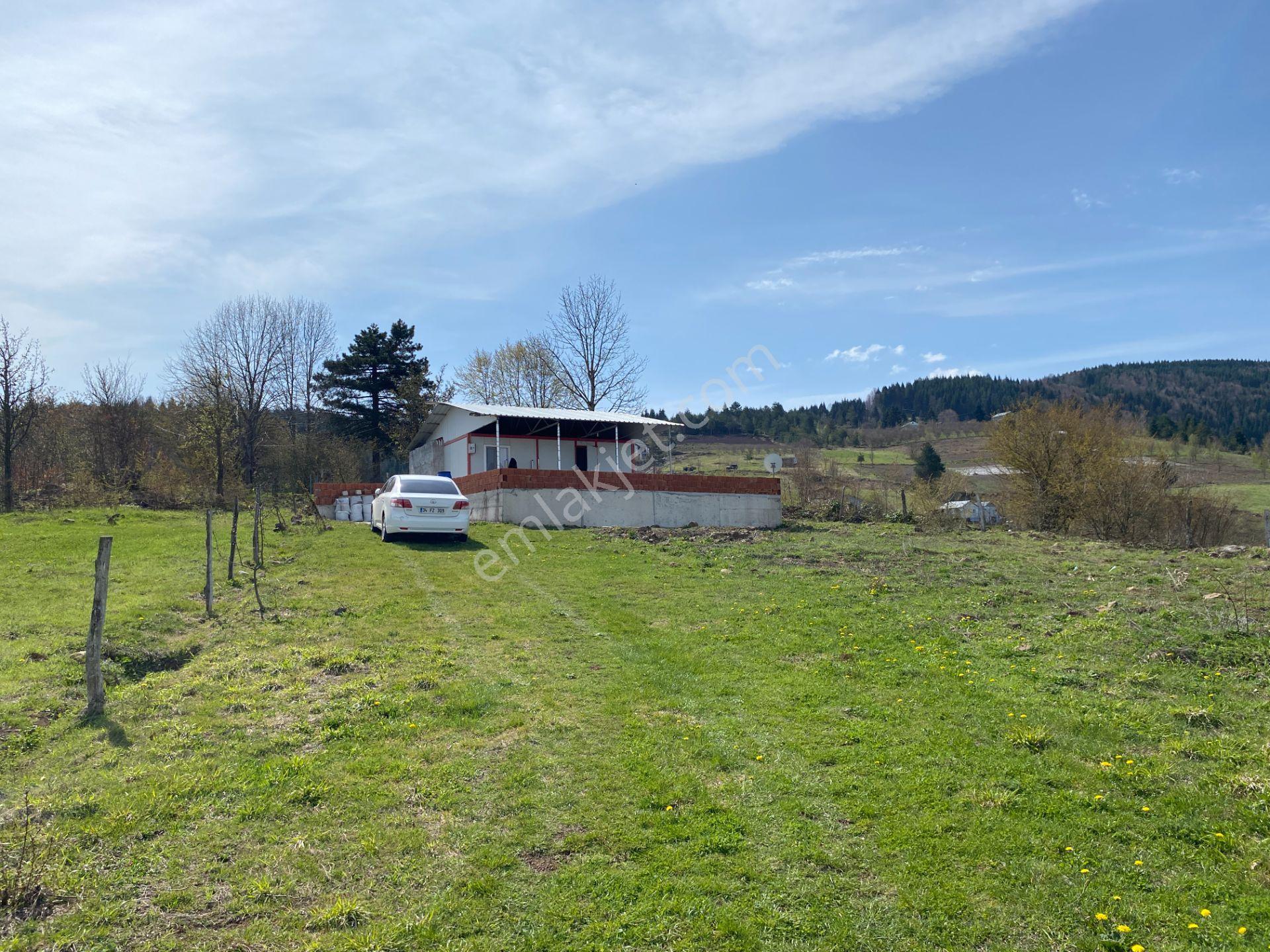 Hendek Dikmen Yaylasında 1.155 M2 Arsa İçinde Müstakil Ev - Görsel 32