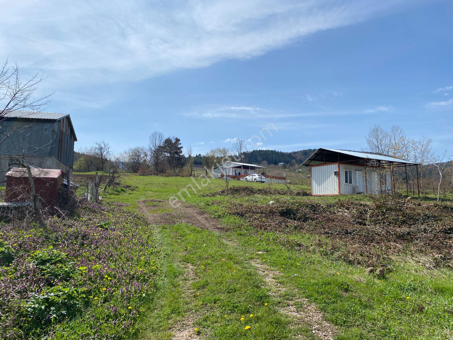 Hendek Dikmen Yaylasında 1.155 M2 Arsa İçinde Müstakil Ev - Görsel 6