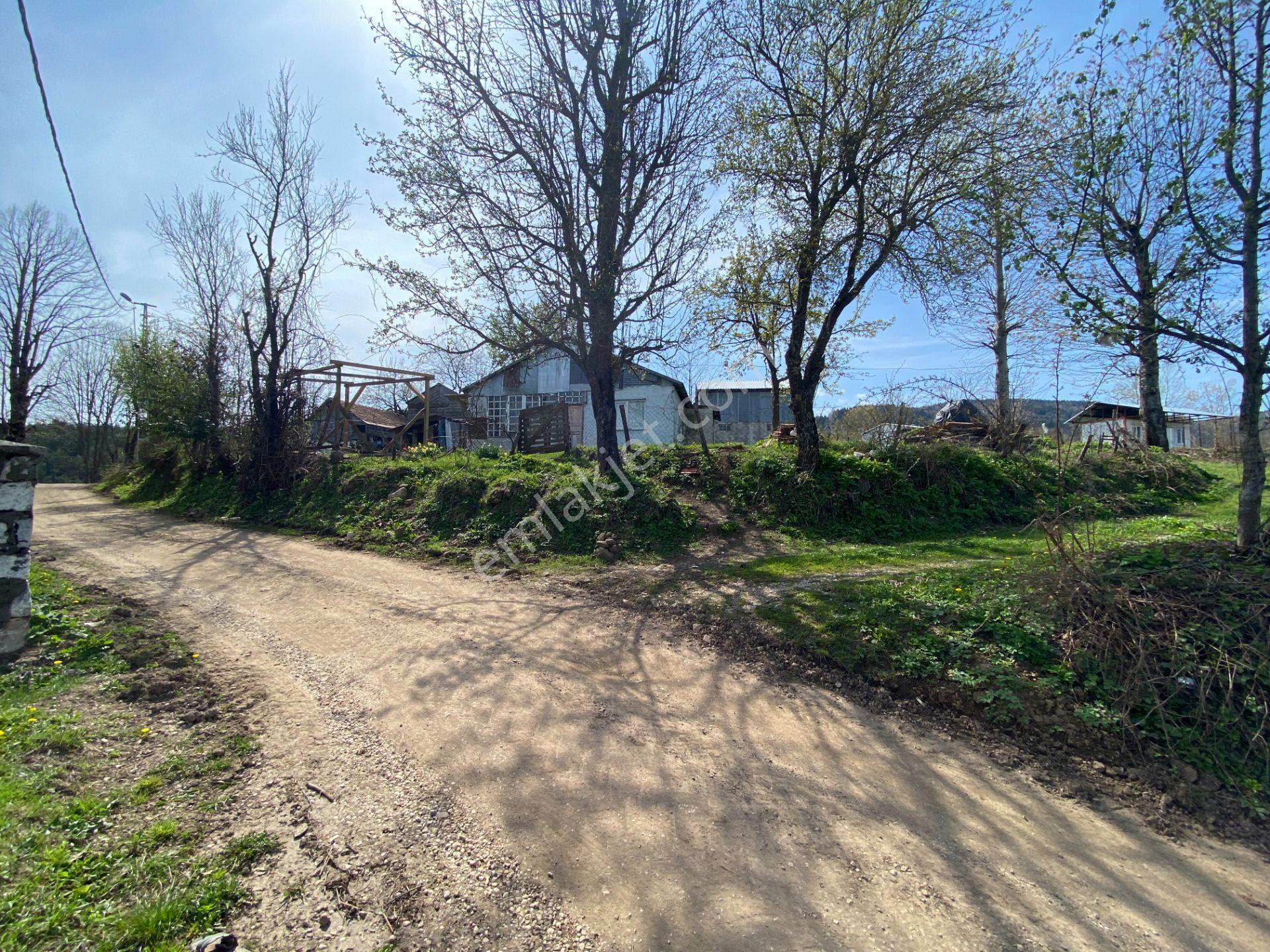 Hendek Dikmen Yaylasında 1.155 M2 Arsa İçinde Müstakil Ev - Görsel 21