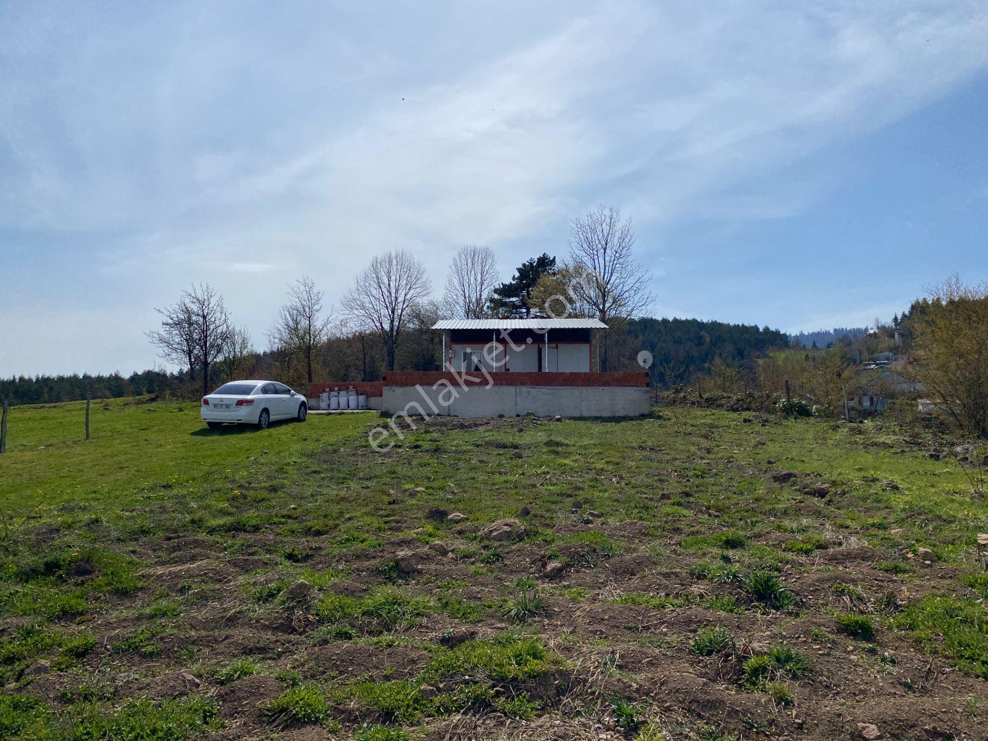 Hendek Dikmen Yaylasında 1.155 M2 Arsa İçinde Müstakil Ev - Görsel 20