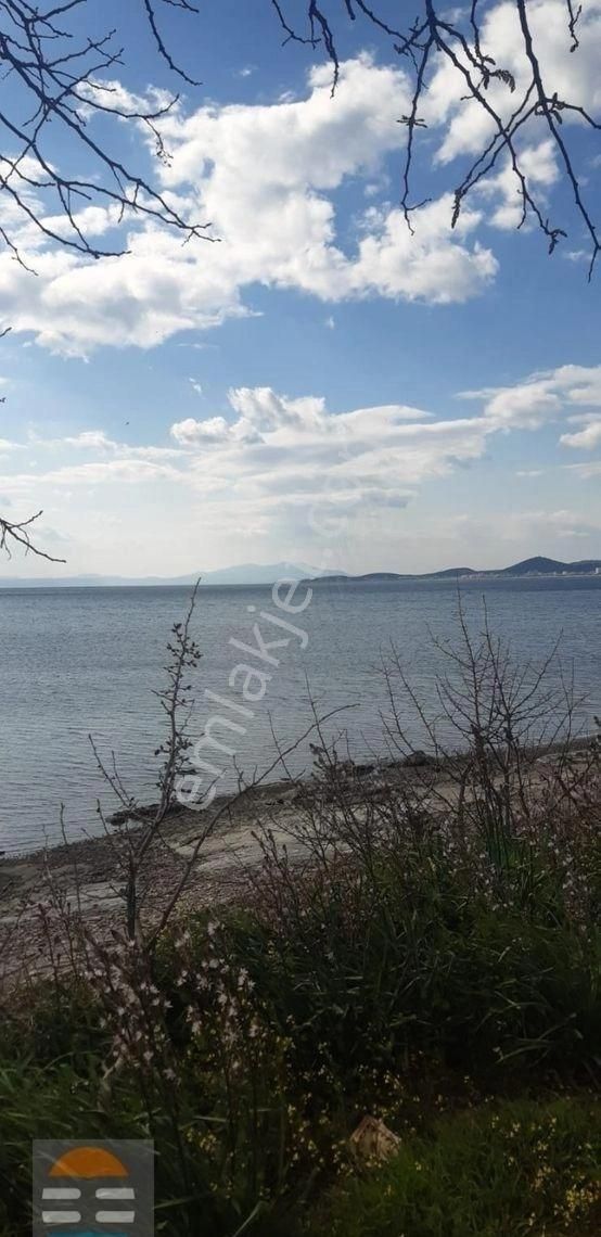Ayvalık Küçükköy Satılık Yazlık - Görsel 20