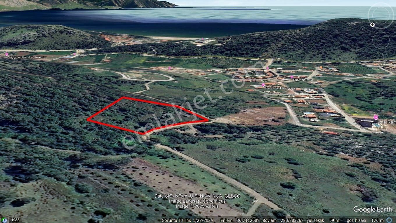 Muğla Ortaca Sarıgerme Mahallesinde Satılık Zeytinlik