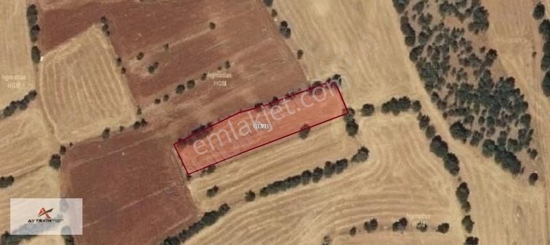 2007 M² Tarla / Konya / Çumra / Apasaracık