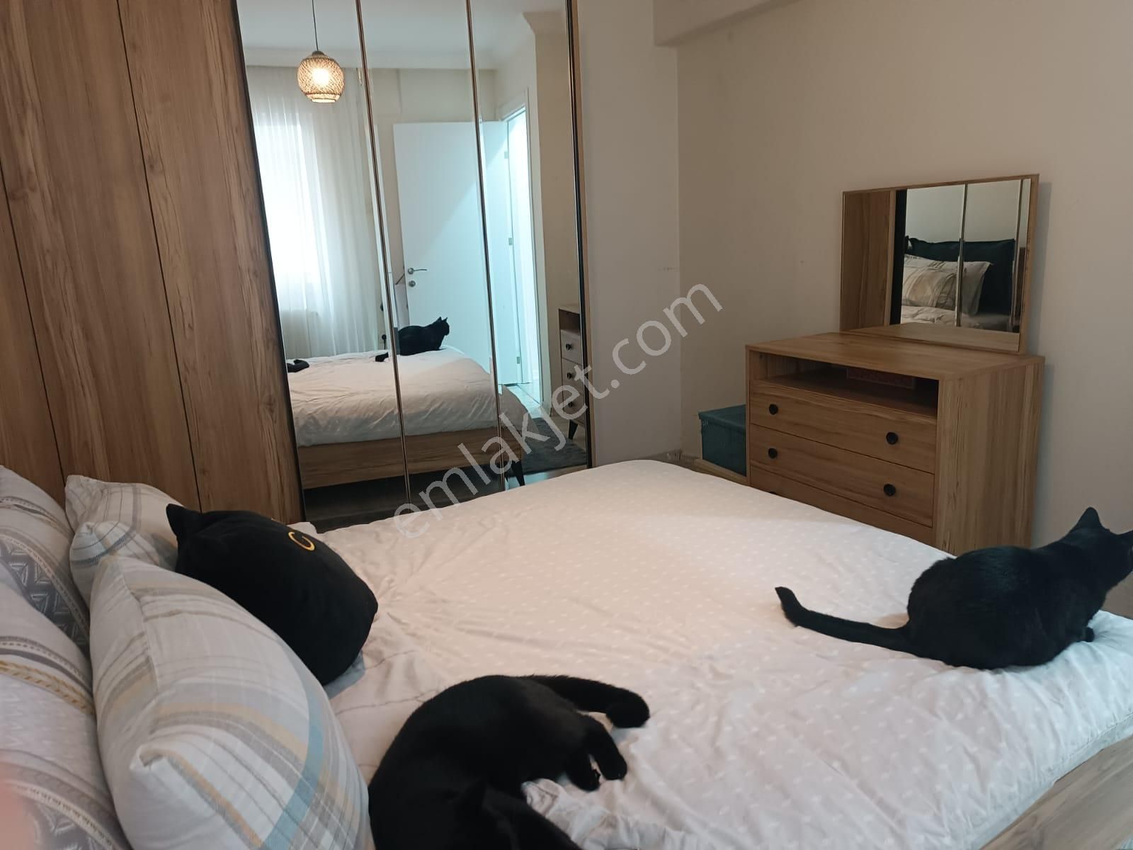 Paşa Gayrimenkul'den H.rıfat Paşa Cd.üzeri 3+1 Geniş Daire Satılık - Görsel 9