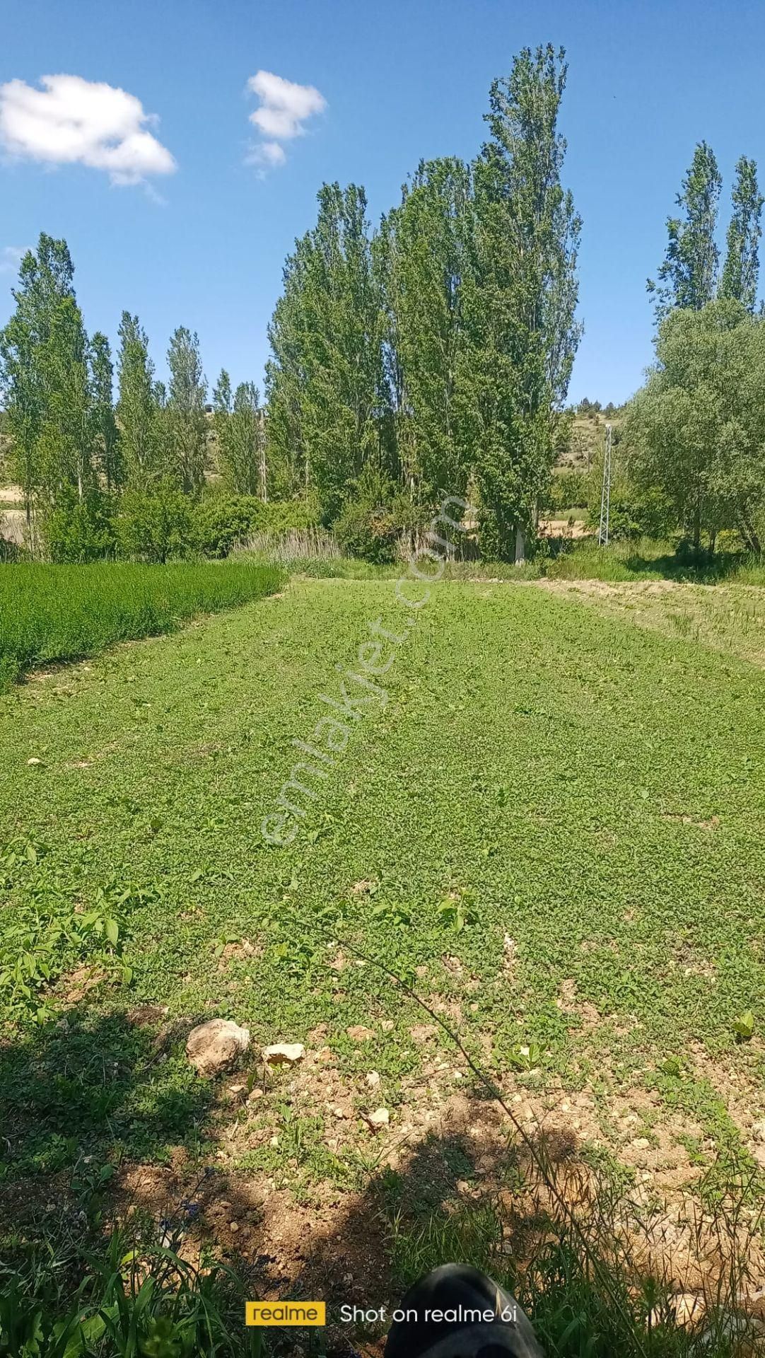 Lale Köyünde Satılık Bahçe