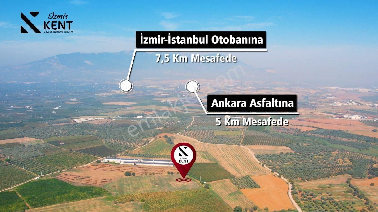Kemalpaşa Halilbeyli Satılık Bahçe 8.654 M2