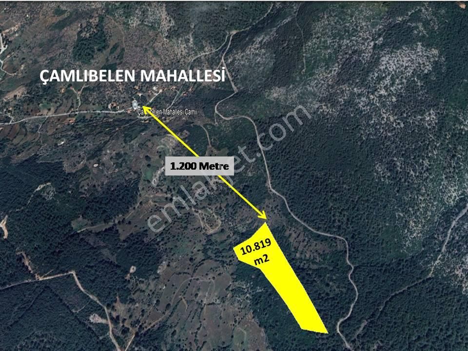 Sevim Emlak'tan, Milas/çamlıbelen'de, 10.819 M2 Satılık Tarla